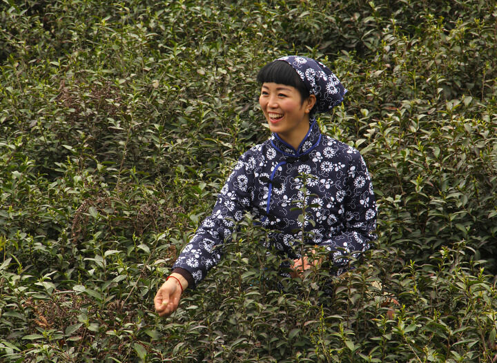 红唇陷阱
